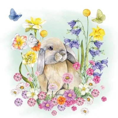 Abbildung von Little rabbit
