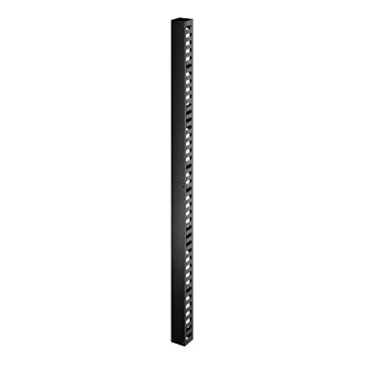 Abbildung von APC Easy Rack ER7VCM42 Vertikaler Kabelmanager 42HE