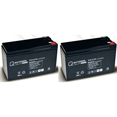 Abbildung von Ersatzakku für APC Back UPS RS BR1500LCDI RBC109 RBC 109 / Markenakku mit VDs