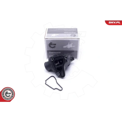 Abbildung von Thermostat, Kühlmittel ESEN SKV 20SKV149