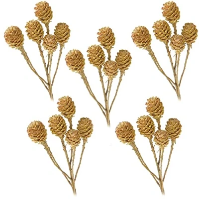 Abbildung von matches21 Salignumzweige 6 Köpfe ohne Blätter Trockenblumen Naturdeko getrocknet Bastelmaterial Natur hell 5er Set