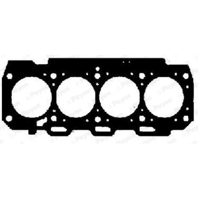 Abbildung von PAYEN AA5581 Zylinderkopfdichtung 1,02 Metall Lagen Dichtung FIAT: Punto II Schrägheck, Doblo I Cargo, Stilo ALFA ROMEO: 156 Limousine