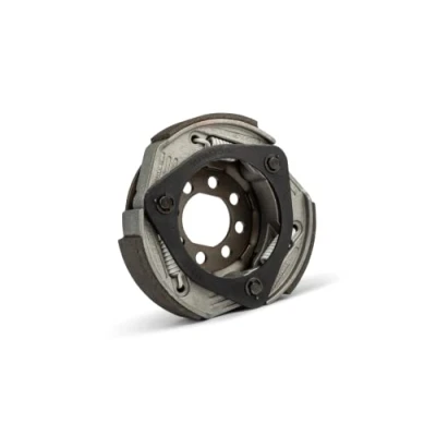 Abbildung von Kupplung Malossi Fly Clutch Maxi Gilera &amp; Piaggio 125 180cc