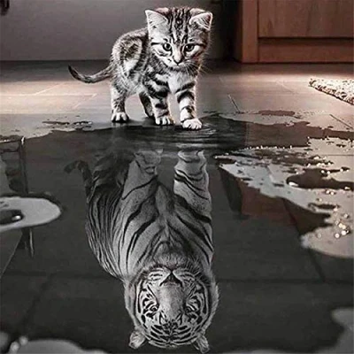 Abbildung von Yingxin34 Puzzle Katze und Tiger 3000 Teile für Erwachsene Kinder ab 14 Jahren, 48.03x31.88 Zoll (122 x 81cm)
