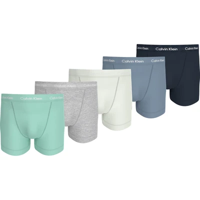 Abbildung von Calvin Klein Underwear Trunk 5 PACK Stretch Boxerbriefs, Herren, Größe: Large, Multicoloured