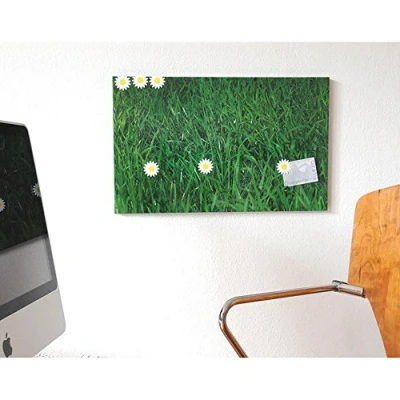 Abbildung von HAB &amp; GUT RB003 Magnettafel Wiese, mit 6 Blumen Magneten, 33 x 53 cm Design Motiv