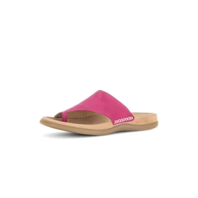 Abbildung von Gabor Damen Pantoletten, Frauen Slipper,Best Fitting,schluepfschuhe,Slip ons,Backless Slipper,Mules,Gartenschuhe,Sommerschuhe,pink,38 EU / 5 UK