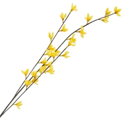 Abbildung von Kunstblume Forsythien, DPI, 1 Zweig