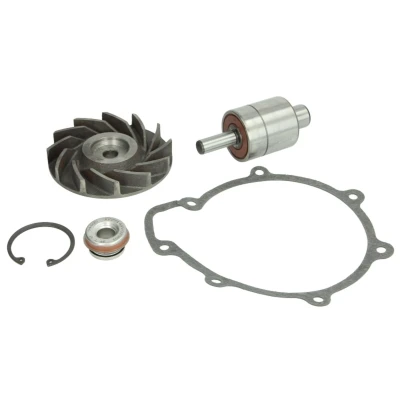Abbildung von Dichtungssatz, Wasserpumpe THERMOTEC WP MN111RK