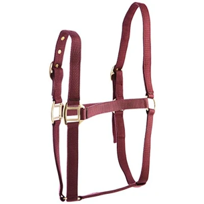 Abbildung von Rhinegold 0 Nylon Headcollar Pony Burgundy Halfter, burgunderfarben