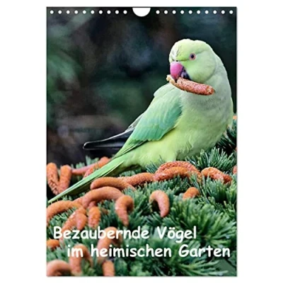 Abbildung von Bezaubernde Vögel im heimischen Garten (Wandkalender 2025 DIN A4 hoch), CALVENDO Monatskalender