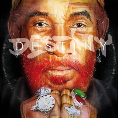 Abbildung von Destiny [Vinyl LP]