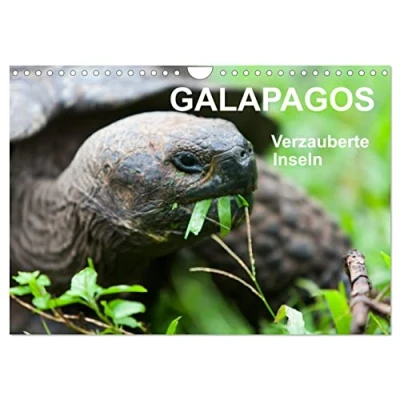 Abbildung von Galapagos. Verzauberte Inseln (Wandkalender 2025 DIN A4 quer), CALVENDO Monatskalender