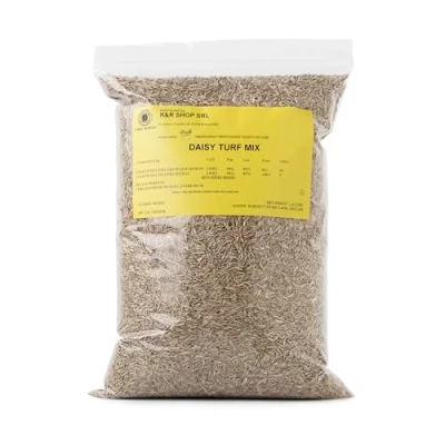 Abbildung von R&amp;R SHOP Rasensamen mit Gänseblümchen, schnelles Wachstum, doppelte Gänseblümchensorte (200gr 10m2)