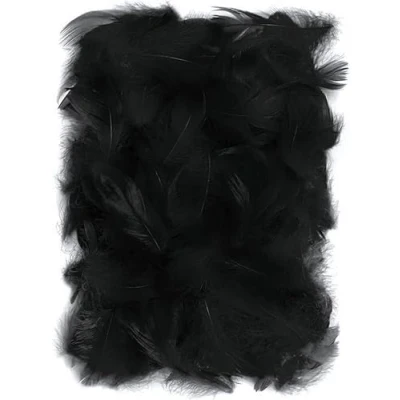 Abbildung von Netuno 150 Stück Deko Federn Schwarz 10g Flaumfedern schwarze Schmuckfedern farbig Vogelfedern Bastelfedern Natur für DIY Basteln Dekoration Ostern Weihnachten bunt zum