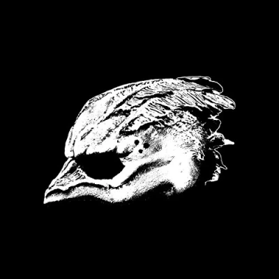 Abbildung von Legend Of The Seagullmen