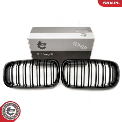 Abbildung von ESEN SKV 66SKV296 Kühlergrill schwarz, glänzend BMW: X5