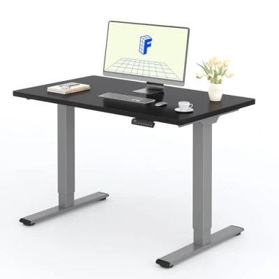 Abbildung von FLEXISPOT Höhenverstellbarer Schreibtisch mit 2 Motoren &amp; 25MM einteiliger Tischplatte,ergonomischer Bürotisch 120 x 60 cm Schwarz, graues Gestell
