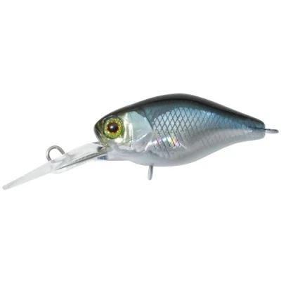 Abbildung von Illex Diving Chubby 38 (3.8cm) NF Ablette
