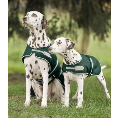 Abbildung von Waldhausen Hunderegendecke Fir Green 60cm