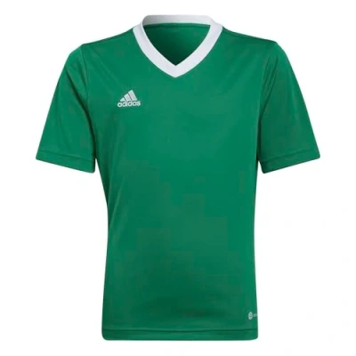 Abbildung von adidas Performance Entrada 22 FußballTrikot Team green white für Kinder, Größe: 140,