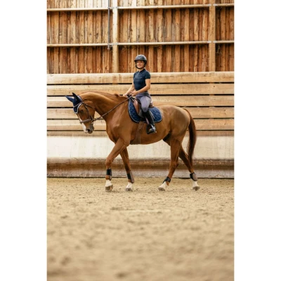 Abbildung von EQUITHÈME Reitleggings Iris Full Grip DunkelgrauVerkauft von Agradi