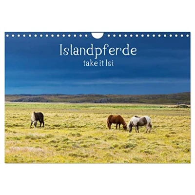 Abbildung von Islandpferde take it Isi (Wandkalender 2025 DIN A4 quer), CALVENDO Monatskalender