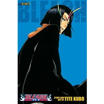 Abbildung von Bleach (3 in 1 Edition), Vol. 13 (BLEACH 3IN1 TP, Band 13)