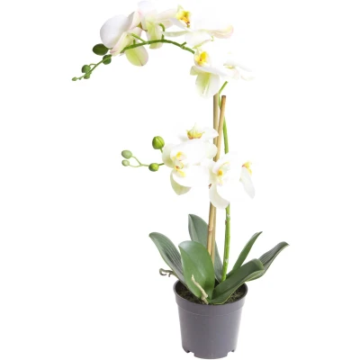 Abbildung von Kunstorchidee Orchidee Bora Orchidee, Botanic Haus, Höhe 50 cm