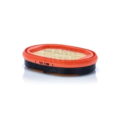 Abbildung von Sekundärluftfilter MANN FILTER CF 2550