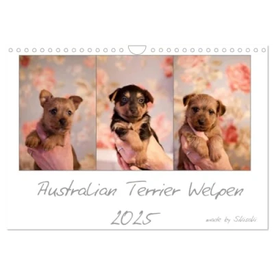 Abbildung von Australian Terrier Welpen (Wandkalender 2025 DIN A4 quer), CALVENDO Monatskalender
