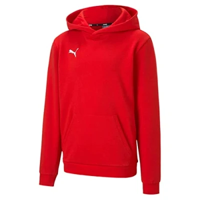 Abbildung von Puma Jungen Teamgoal 23 Casuals Hoody Jr Pullover, Red, 140 EU