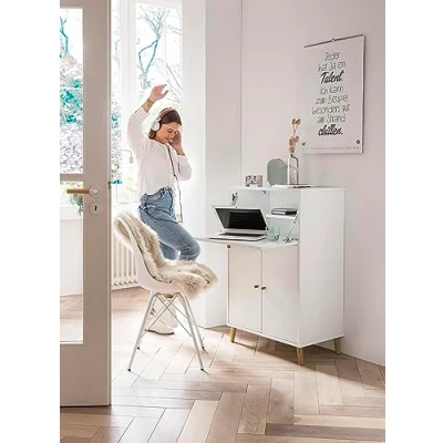 Abbildung von Schildmeyer Schreibtisch &quot;Serie 500&quot;, Breite 65,2 cm, Sekretär Aktenschrank mit ausklappbarer Schreibplatte