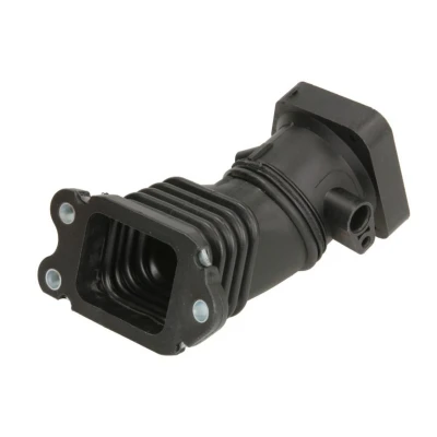 Abbildung von THERMOTEC DCG123TT Saugrohr, Luftversorgung FORD: FIESTA 5, Focus 2 Schrägheck
