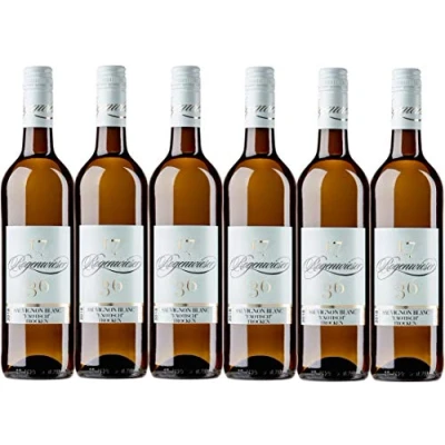 Abbildung von Weingut Rogenwieser Kirchheimer Kreuz Sauvignon Blanc trocken &quot;exotisch&quot; (6 x 0,75L)