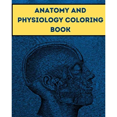 Abbildung von Anatomy and Physiology Coloring Book: The Human Body Guide Book For Kids Adult Gift Your children