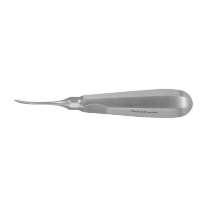 Abbildung von Wurzelheber gebogen Figur 0C 5,0mm breit Stück