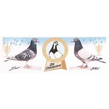 Abbildung von Auto Aufkleber Tauben Die Champions Gr. ca. 22 x 8 cm TB762/2