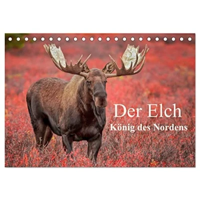 Abbildung von Der Elch König des Nordens (Tischkalender 2025 DIN A5 quer), CALVENDO Monatskalender