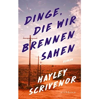 Abbildung von Dinge, die wir brennen sahen: Roman
