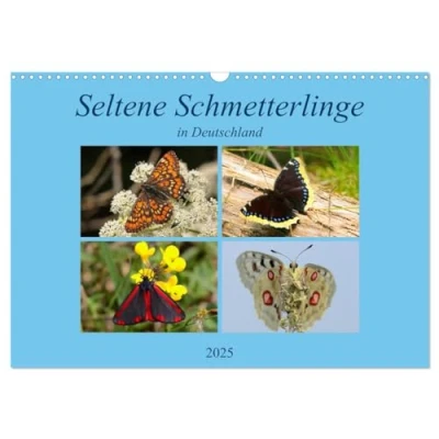 Abbildung von Seltene Schmetterlinge in Deutschland (Wandkalender 2025 DIN A3 quer), CALVENDO Monatskalender