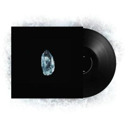 Abbildung von The Circle (180 Gr. Black Vinyl) [Vinyl LP]