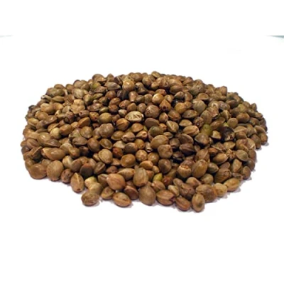 Abbildung von BIO Hanfsamen I ungeschält Hanf Nuss ohne Zusätze Omega 3 Fettsäure Müsli Zutat 1000g