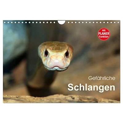 Abbildung von Gefährliche Schlangen (Wandkalender 2025 DIN A4 quer), CALVENDO Monatskalender