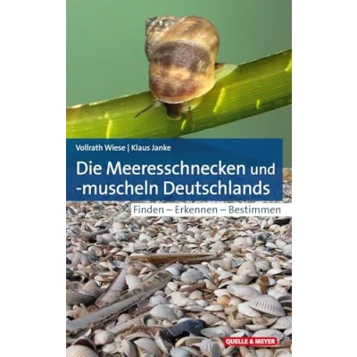 Abbildung von Die Meeresschnecken und muscheln Deutschlands: Finden Erkennen Bestimmen (Quelle &amp; Meyer Bestimmungsbücher)