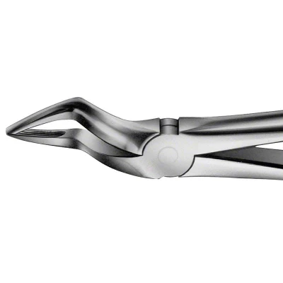 Abbildung von ANATOMICA Zahnzange Figur 51 OK Wurzeln