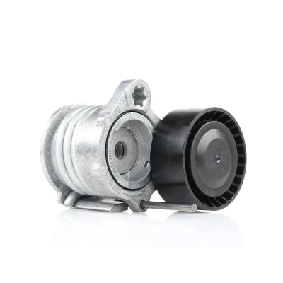 Abbildung von FEBI BILSTEIN 32248 Riemenspanner BMW: 1 Schrägheck, 3 Limousine, Touring