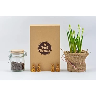Abbildung von VietBeans Kaffeebohnen Probierset in Geschenkbox Vier spannende Kaffeesorten für Kaffeeliebhaber Kaffee Geschenkset Ganze Bohnen Geschenkidee Probier Set 4 x 80g
