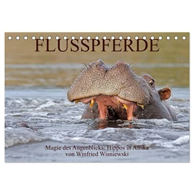 Abbildung von Flusspferde Magie des Augenblicks Hippos in Afrika (Tischkalender 2025 DIN A5 quer), CALVENDO Monatskalender