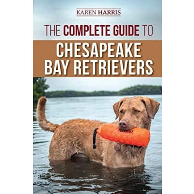 Abbildung von The Complete Guide to Chesapeake Bay Retrievers: Training, Socializing, Feeding, Exercising, Caring for, and Loving Your New Chessie Puppy